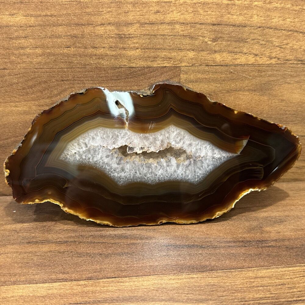 Large Polished Geode Agate Druzy Brown Crystals